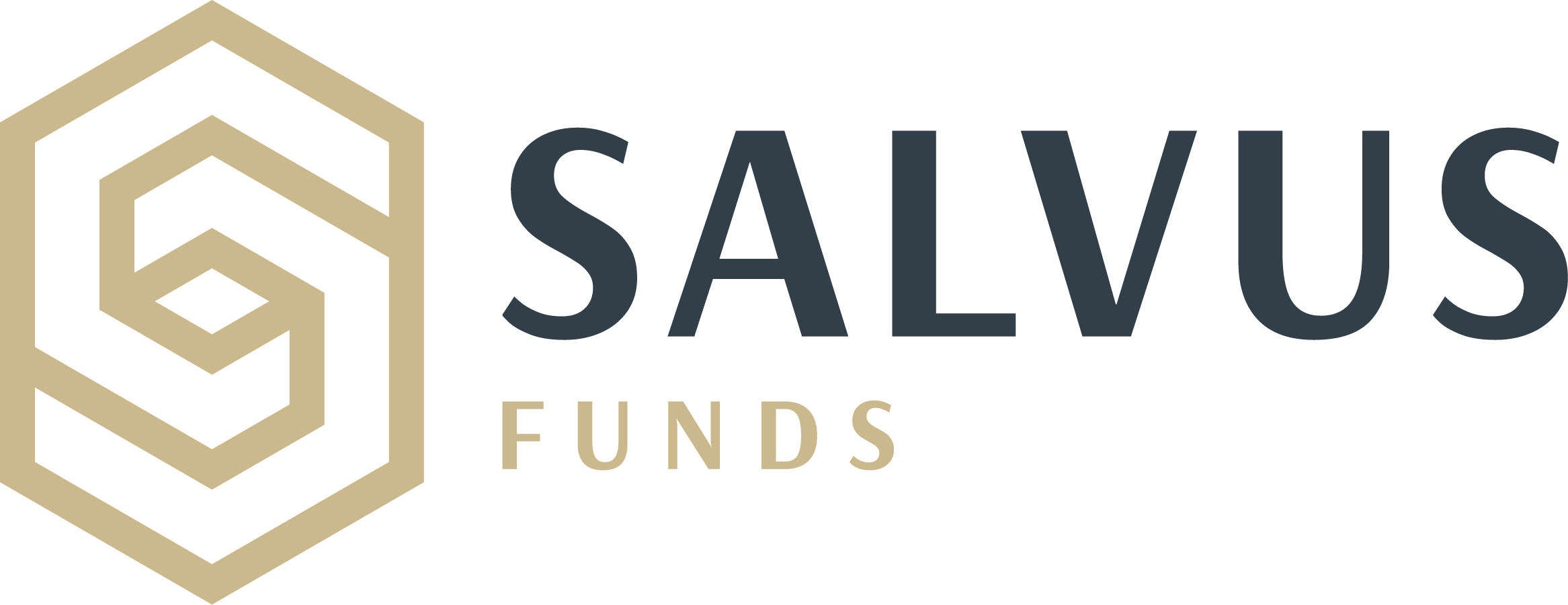 SALVUS Funds