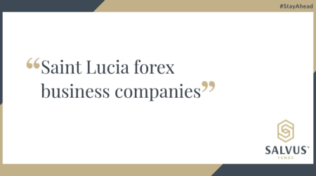 International business company saint lucia
