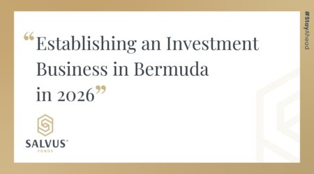 Investment Business in Bermuda