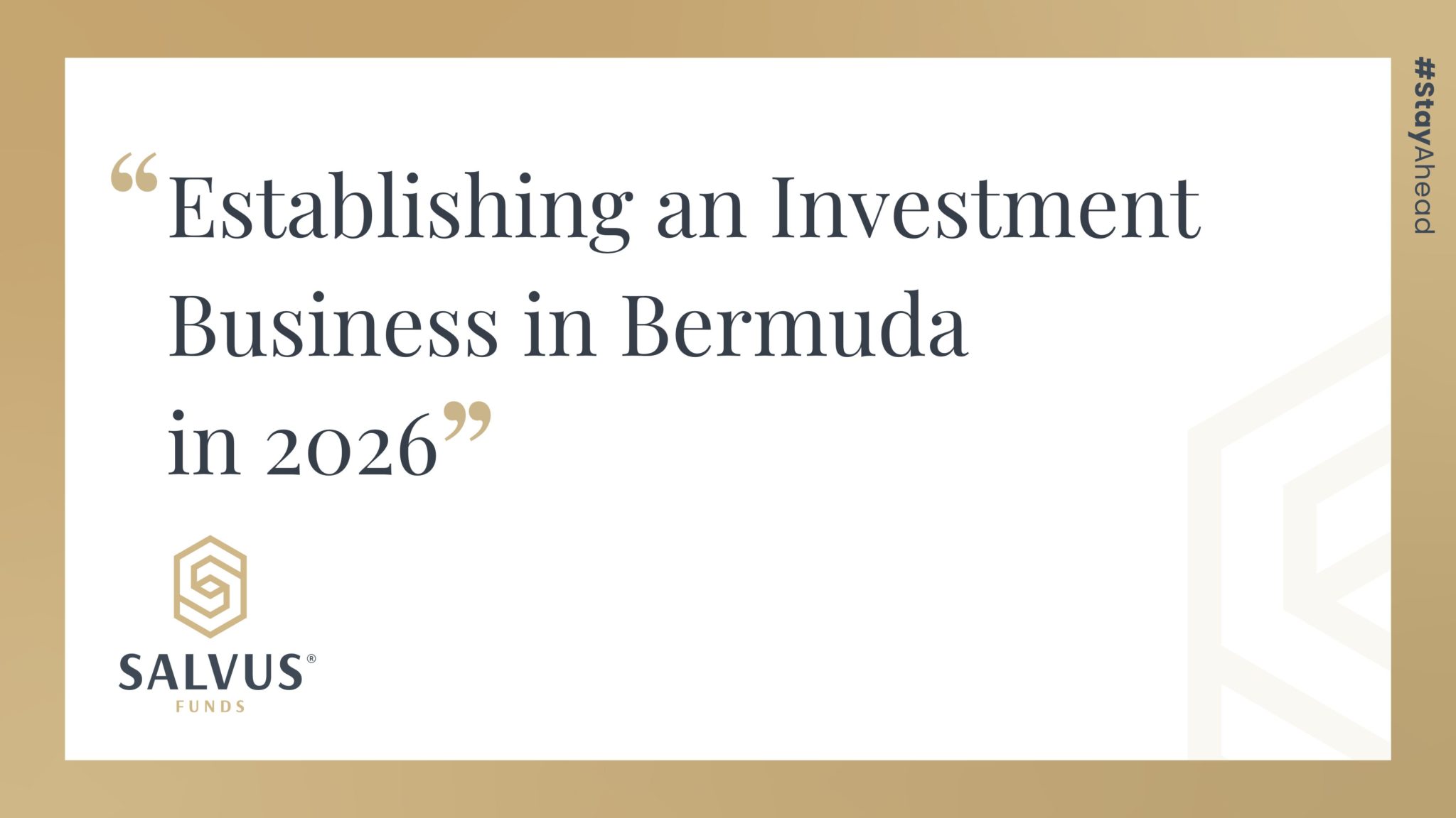 Investment Business in Bermuda